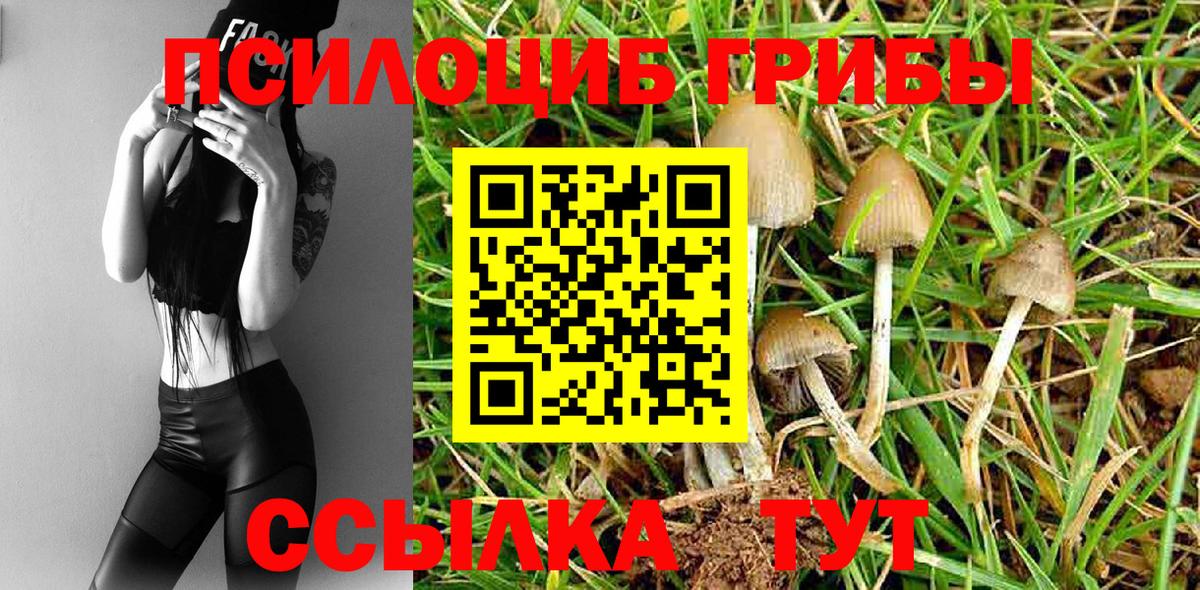 Галлюциногенные грибы Magic Shrooms Гатчина